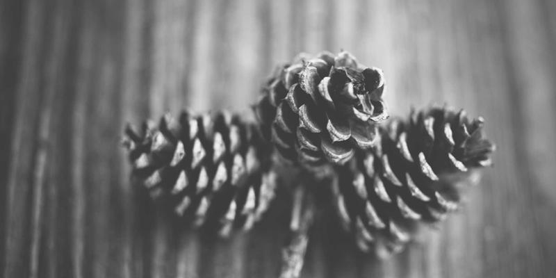 在画布与广场之间:基督徒艺术家如何以祷告为锚,开启真诚的文化对话