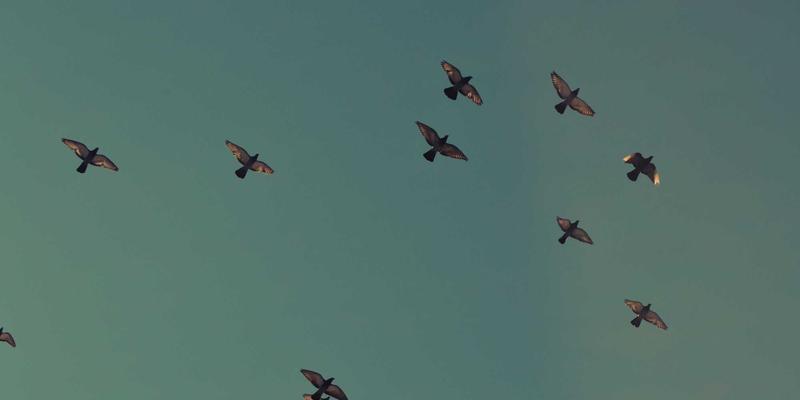 数字浪潮中的信仰锚点：基督徒如何善用社交媒体而不失属灵根基