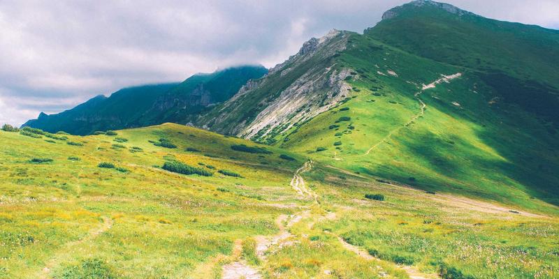 社交媒体上的信仰见证：在分享与论断之间寻找圣经的智慧边界