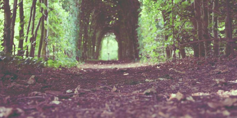 职场如战场，基督徒如何在竞争中持守真道？祷告、教会与信仰交流的三大支柱