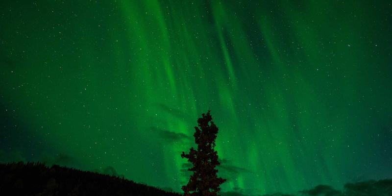 跨越边界与深耕本土：全球化时代基督徒的宣教新视野